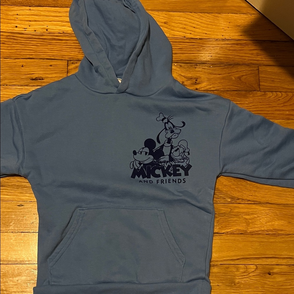 Disney Blue Mickey and Friends Hoodie
